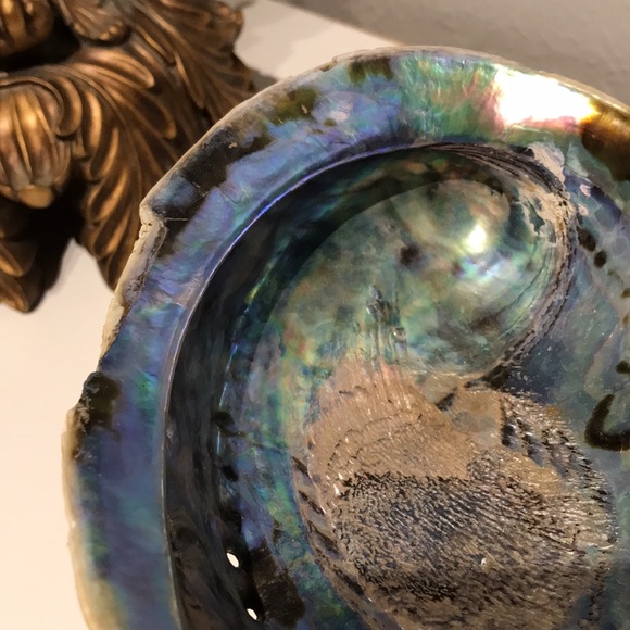 Beautiful Blue Shell Beautiful Stand Coastal Decor FINAL SALE - Picture 7 of 9